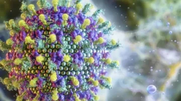 تحذير دولي.. أسباب تفاؤل منظمة الصحة العالمية بشأن مواجهة فيروس نيباه القاتل